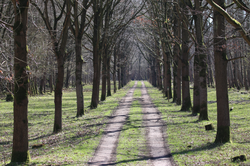 Zorgpaden ontwikkeling Zorgplein Almere